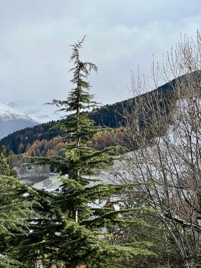 Il Pettirosso - Casa Vacanze Bormio Eksteriør billede
